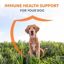 nutramax-laboratories-nutramax-imuquin-i-2.jpg