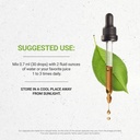 secrets-of-the-tribe-ginkgo-biloba-tinct-3.jpg