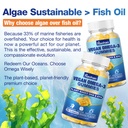 omega-3-gummies-for-adults-orange-flavor-4.jpg