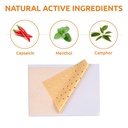 20-pcs-capsaicin-patches-pain-patches-he-6.jpg