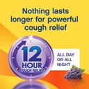 delsym-adult-12-hr-cough-relief-liquid-g-2.jpg