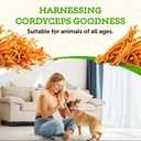 animal-essentials-energy-cordyceps-mushr-6.jpg