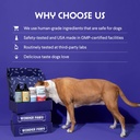 premium-dmg-for-dogs-dmg-liquid-to-suppo-6.jpg