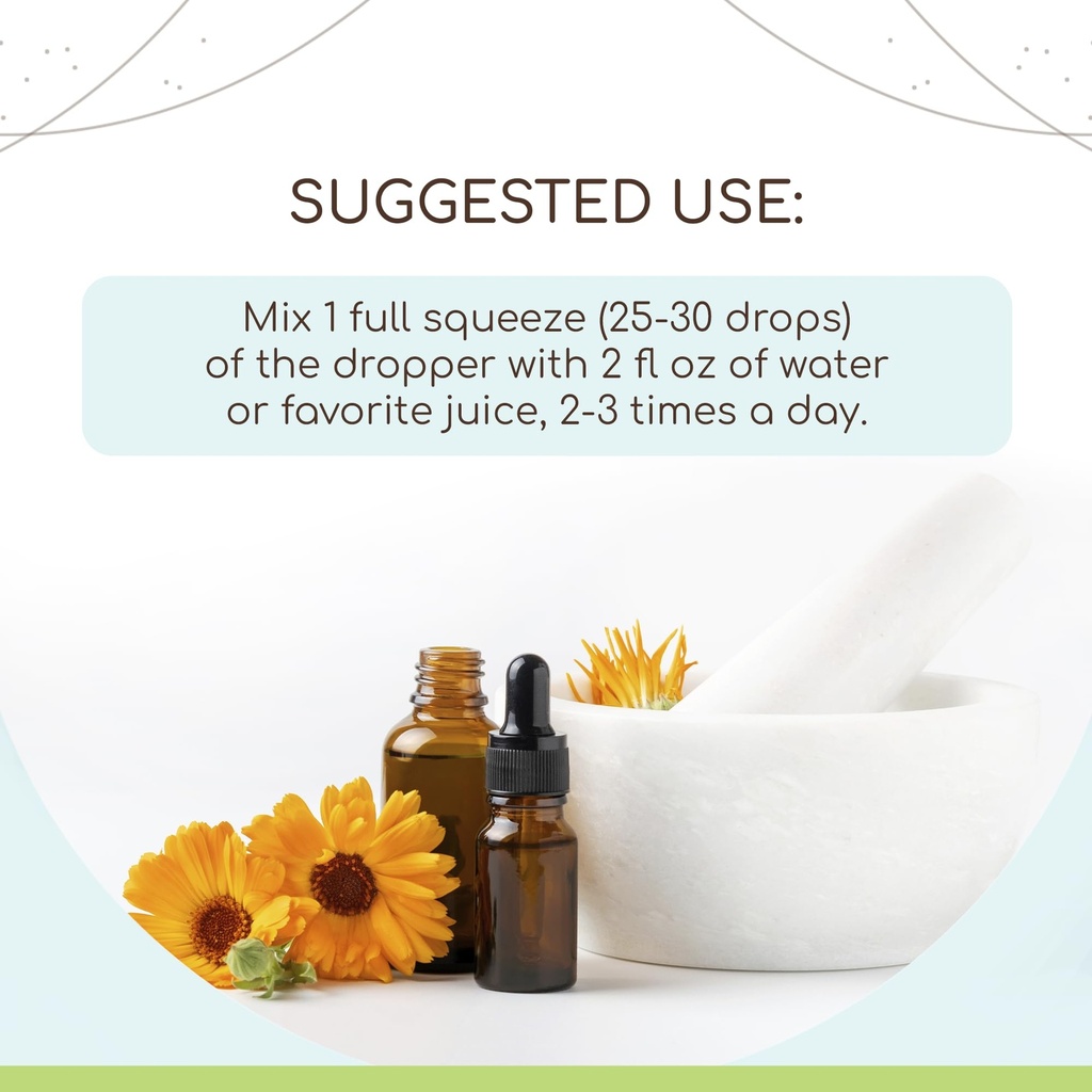 herbera-andrographis-b120-alcohol-free-h-2.jpg