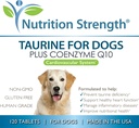taurine-for-dogs-support-for-a-healthy-h-6.jpg