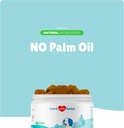 probiotics-for-dogs-digestive-health---s-3.jpg
