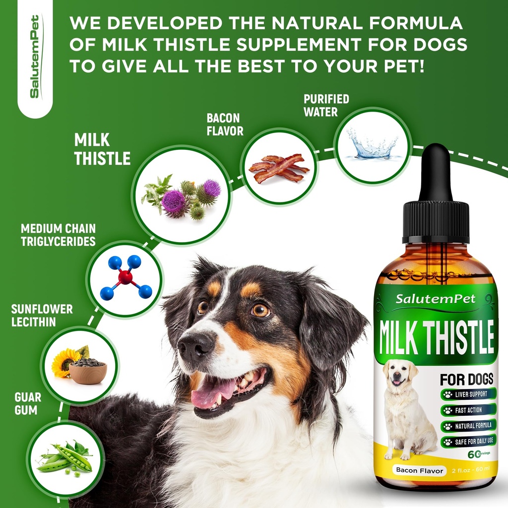milk-thistle-for-dogs-dog-liver-suppleme-4.jpg