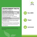 terry-naturally-advanced-dgl-75-mg-licor-2.jpg