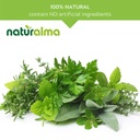 naturalma-alfalfa-or-lucerne-medicago-sa-4.jpg