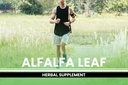 pure-original-ingredients-alfalfa-leaf-3-4.jpg