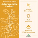 organic-india-ashwagandha-gummies-for-me-5.jpg