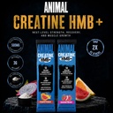 animal-creatine-hmb-powder-3g-myhmb-5g-c-2.jpg