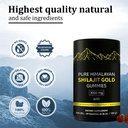shilajit-gummies-alpha-gummies-for-men-l-6.jpg