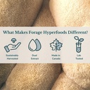 forage-hyperfoods--alcohol-free-canadian-3.jpg
