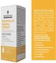 bee-and-you-plus-natural-propolis-nasal--5.jpg