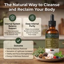 lumvelle-wild-harvested-wormwood-drops-7-2.jpg