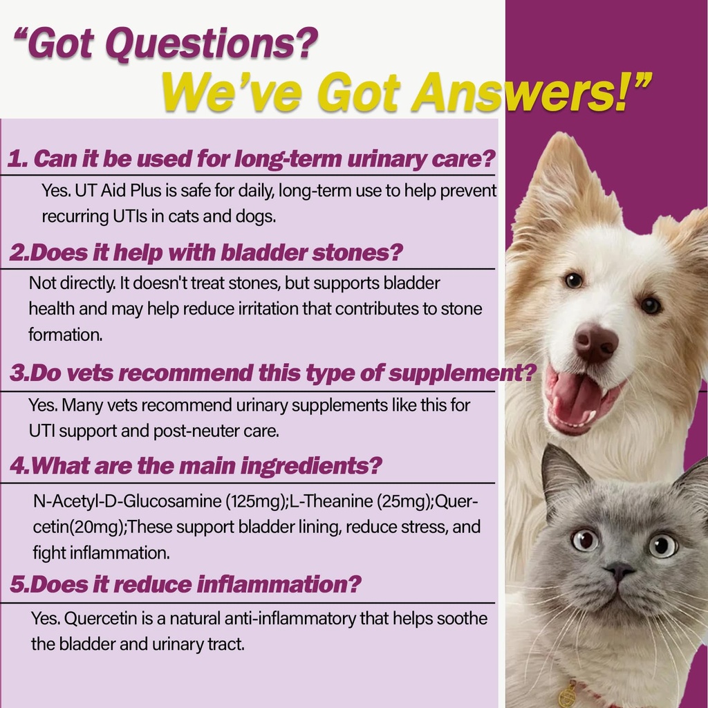 natural-uti-treatment-for-cats-dogs-anti-6.jpg