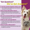 natural-uti-treatment-for-cats-dogs-anti-6.jpg