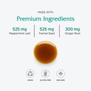 vitanica-digestion-tonic-digestion-suppo-4.jpg