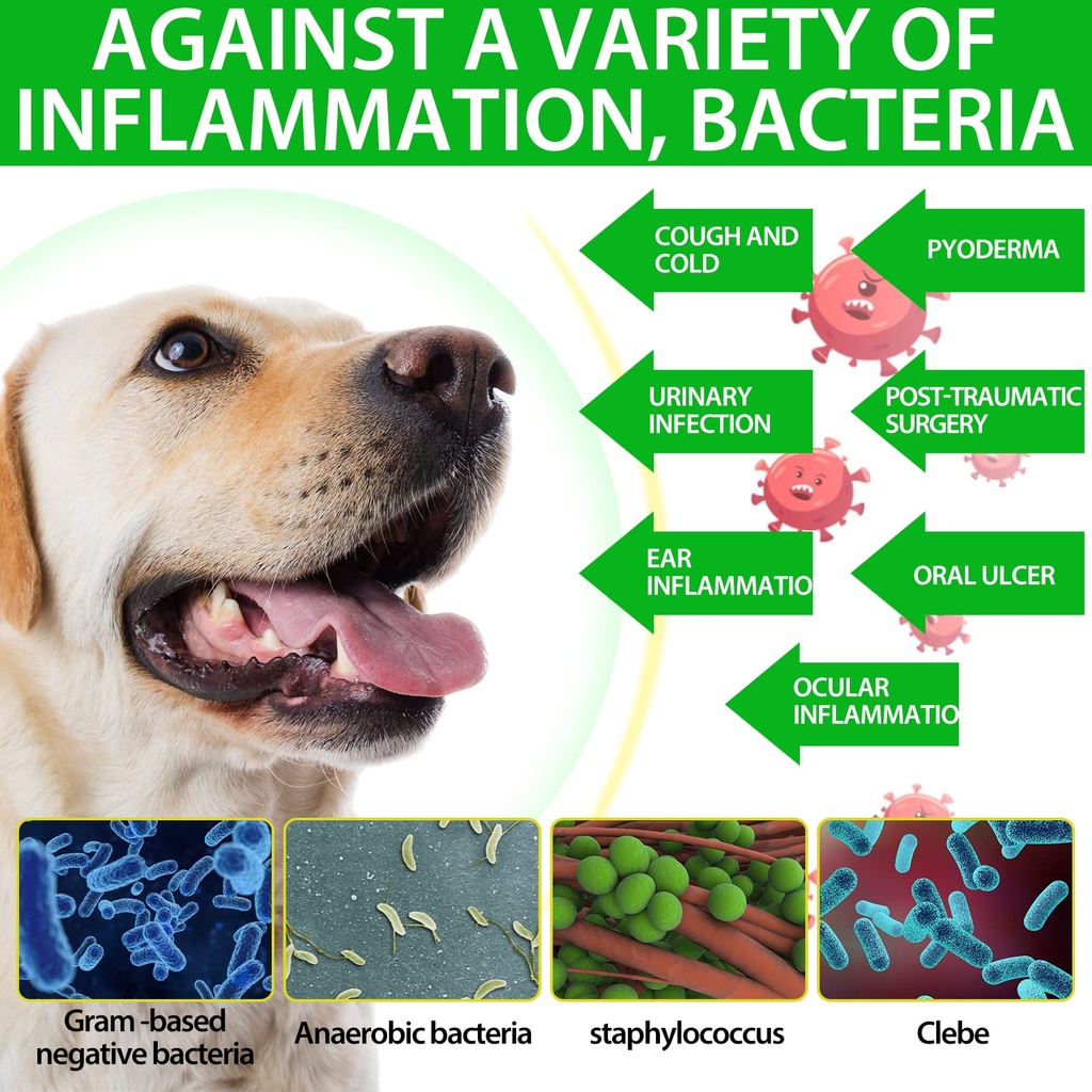 antibiotics-for-dogs-natural-dog-antibio-3.jpg