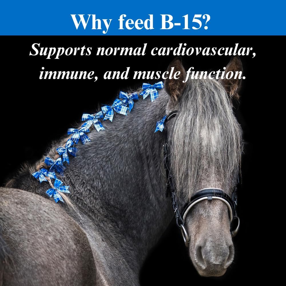 su-per-b-15-vitamin-supplement-for-horse-4.jpg