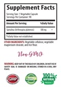 blue-spirulina-organic-chlorella-spiruli-2.jpg