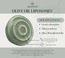 braingain-luteolin-key-ingredients-with--4.jpg