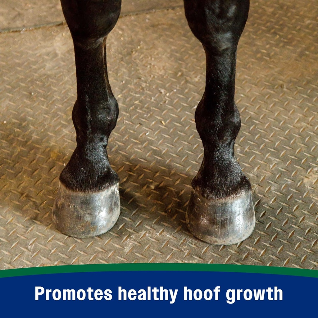 farnam-horseshoers-secret-pelleted-hoof--4.jpg