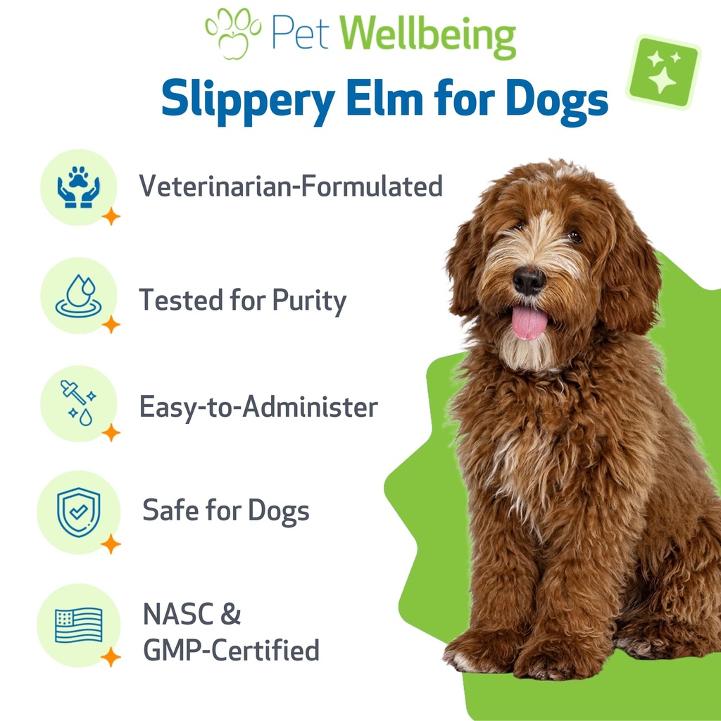 pet-wellbeing-slippery-elm-for-dogs-gut--5.jpg
