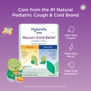 hyland-s-baby-mucus-and-cold-relief-day--3.jpg