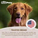 doggie-condiments-pet-respiratory-suppor-5.jpg