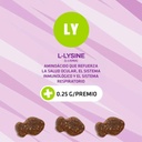 pet-naturals-lysine-for-cats-chicken-fla-5.jpg