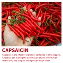 100-pcs-maximum-strength-capsaicin-patch-3.jpg