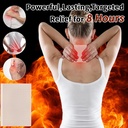 100-pcs-maximum-strength-capsaicin-patch-4.jpg