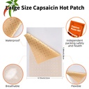 100-pcs-maximum-strength-capsaicin-patch-5.jpg