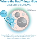 biohm-gut-brain-connection-memory-focus--4.jpg