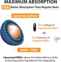 orgabay-liposomal-nad-supplement-500-mg--4.jpg