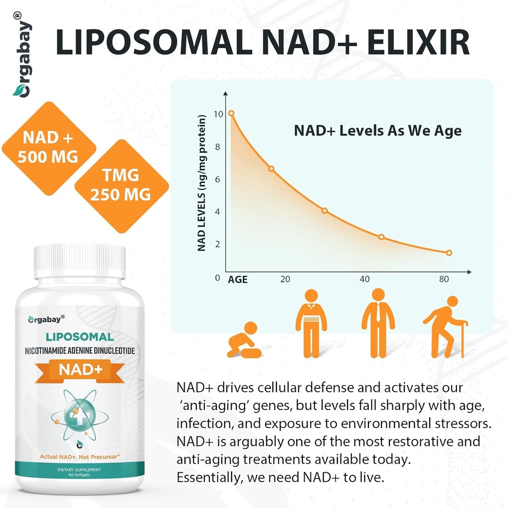 orgabay-liposomal-nad-supplement-500-mg--5.jpg