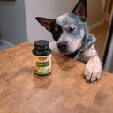 now-foods-pet-health-urinary-support-sup-6.jpg