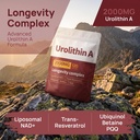 12-in-1-urolithin-a-complex-supplement-w-814LHEIjE9L.jpg