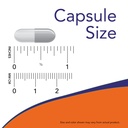 now-acidophilus-two-billion-250-capsules-61RW6AtQHCL.jpg