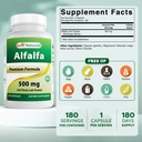 best-naturals-alfalfa-green-super-food-5-71KxIzVEaFL.jpg