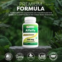 best-naturals-alfalfa-green-super-food-5-71WJwxG7lML.jpg