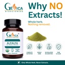 alfalfa-supplement-usda-organic-1500-mg--81dh6k+j-RL.jpg
