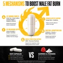 thermogenic-fat-burner-for-men-appetite--61tngGnVx6L.jpg