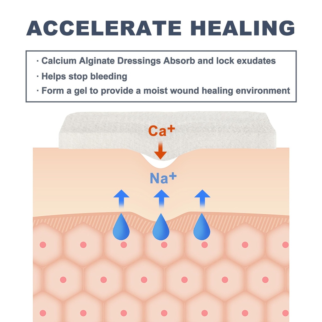 lotfancy-calcium-alginate-wound-dressing-71+CUiphwkL.jpg