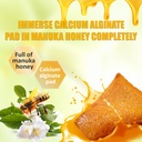 impregnated-manuka-honey-calcium-alginat-71ceyz6qfhL.jpg