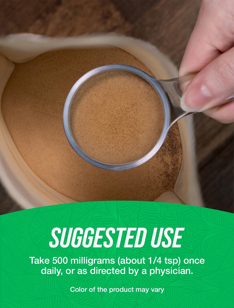 bulksupplements-com-organic-ginkgo-bilob-71y3aPNC8iL.jpg