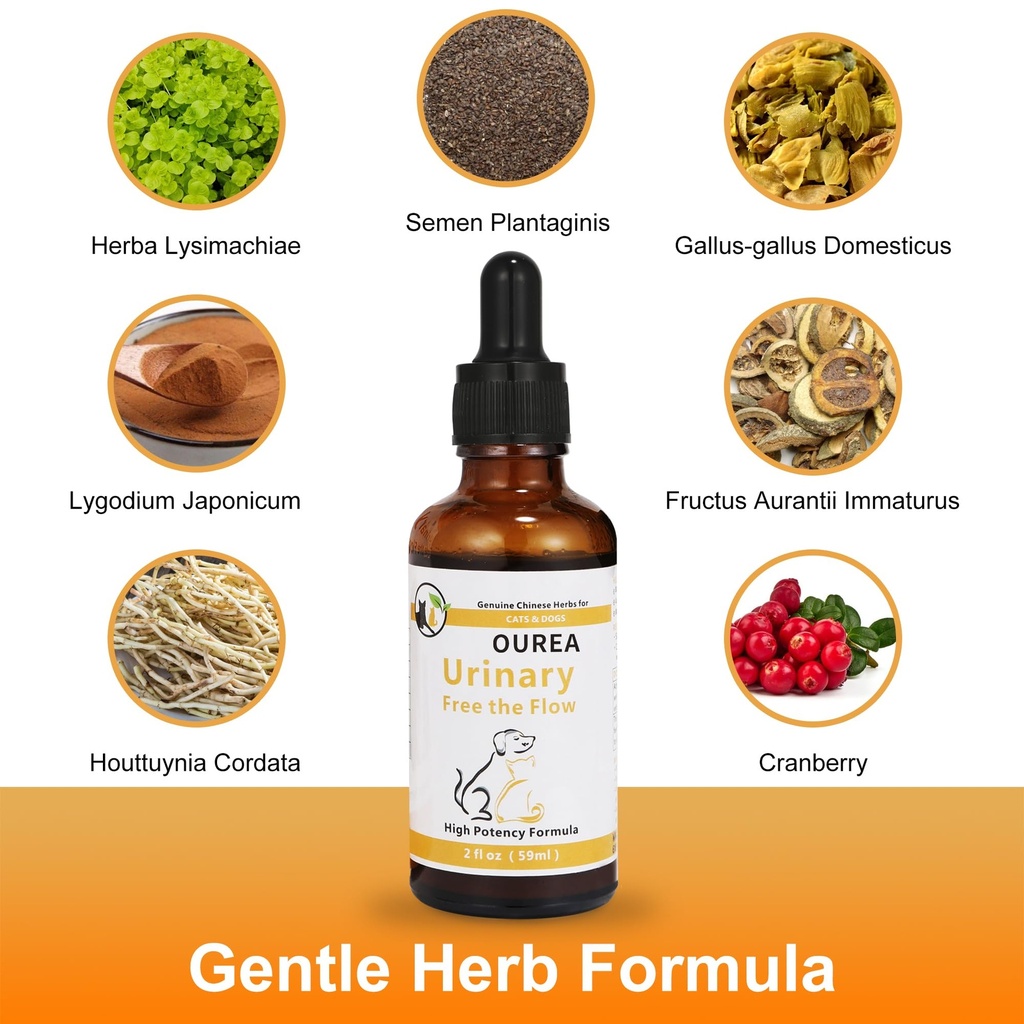 dog-cat-bladder-crystals-treatment-or-st-81aitn6FK4L.jpg