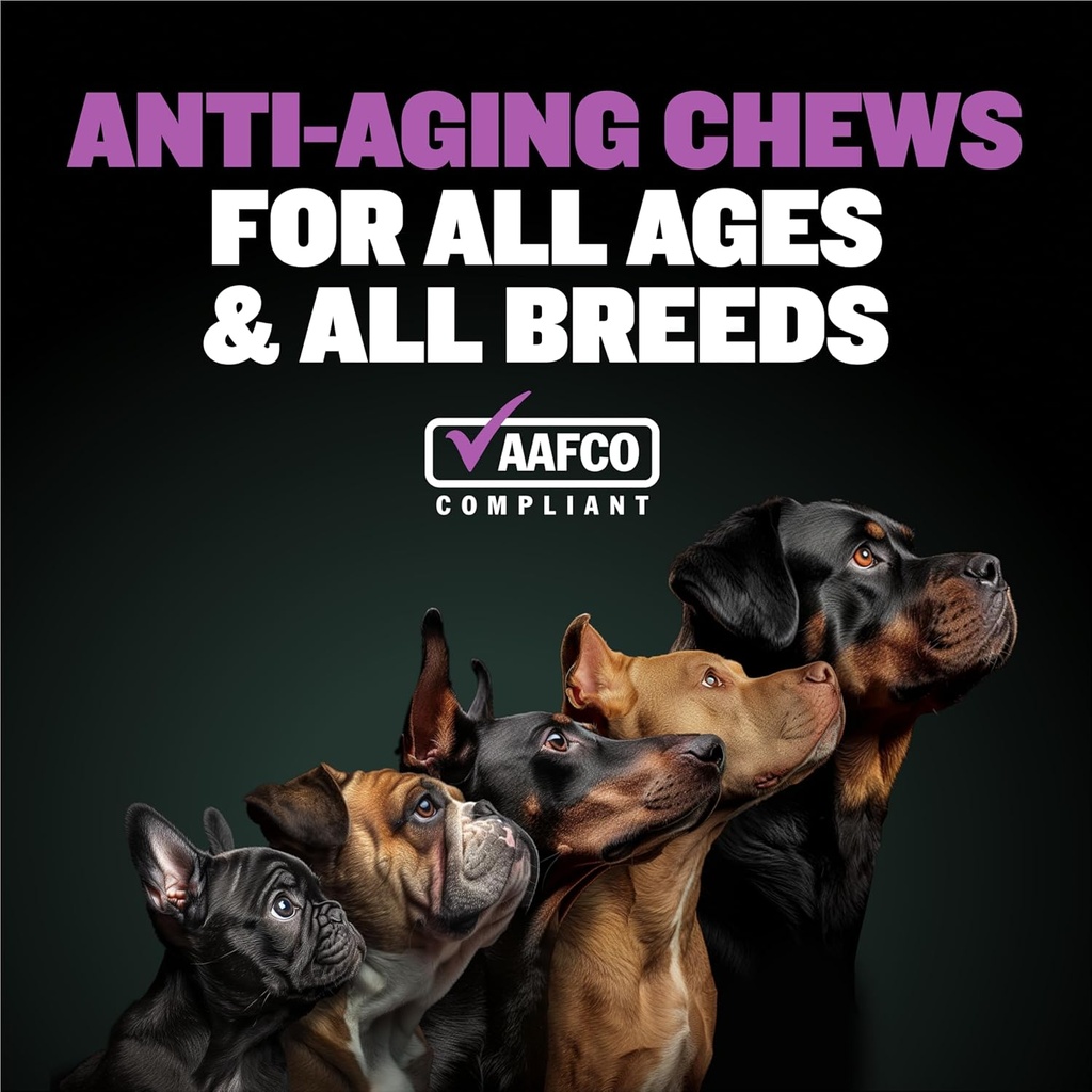 bully-max-2-in-1-anti-aging-multivitamin-3.jpg